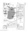 Fig. 06 - DIGITAL ADVERTISING TRADE AMPLIFIER