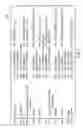 Fig. 06 - ITEMIZED RECEIPT EXTRACTION USING MACHINE LEARNING