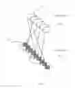Fig. 02 - Data ingest optimization