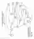 Fig. 12 - Anchored patterns