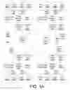 Fig. 02 - Shared memory architecture