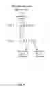 Fig. 07 - Geometric array data structure