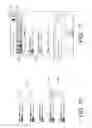 Fig. 09 - Graphical user interface which displays profile information associated with a selected contact
