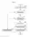 Fig. 09 - Optimizing program by reusing execution result of subclass test function
