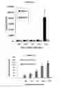 Fig. 35 - Pathogen restriction factors