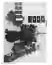 Fig. 02 - Grapevine ‘IFG Eight’