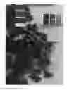Fig. 02 - Grapevine 'IFG Five'