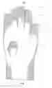 Fig. 01 - PLAITED GLOVE