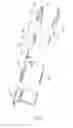 Fig. 09 - ACCESSORY FOR HAIR TREATMENT DEVICE