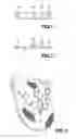 Fig. 02 - Decorative device for thong sandal