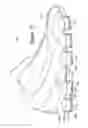 Fig. 13 - Article of footwear with a sole structure having fluid-filled support elements