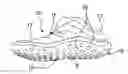 Fig. 01 - Waterproof vapor-permeable shoe