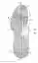 Fig. 06 - Footwear with counter-supplementing strap