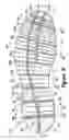 Fig. 08 - Article of footwear with a stretchable upper and an articulated sole structure