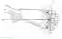 Fig. 01 - Butt with recoil pad for a shoulder-held firearm
