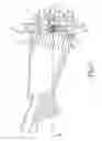 Fig. 08 - Butt with recoil pad for a shoulder-held firearm