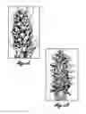 Fig. 04 - Methods for modulating strobili development in gymnosperm trees