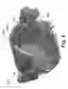 Fig. 05 - Method and device for evaluating germination properties of plant seeds