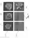 Fig. 08 - Method and device for evaluating germination properties of plant seeds