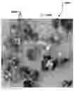 Fig. 01 - ABRASIVE SEGMENT COMPRISING ABRASIVE AGGREGATES INCLUDING SILICON CARBIDE PARTICLES