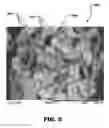 Fig. 06 - ABRASIVE SEGMENT COMPRISING ABRASIVE AGGREGATES INCLUDING SILICON CARBIDE PARTICLES