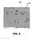 Fig. 07 - Abrasive articles including abrasive particles of silicon nitride