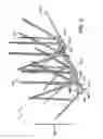 Fig. 04 - Branched spike bird deterrent