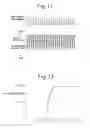 Fig. 08 - Exhaust purification system of internal combustion engine