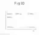 Fig. 13 - Exhaust purification system of internal combustion engine