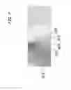 Fig. 08 - Forge press, die and tooling design with distributed loading