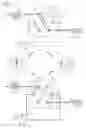 Fig. 10 - Liquid chromatograph system