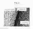 Fig. 03 - Substrate mimicking intercellular lipids in stratum corneum and method of evaluating skin roughening using the same