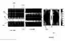 Fig. 07 - Medium switching systems and methods using acoustic radiation pressure