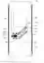 Fig. 01 - DUAL SLIDING ASSEMBLY