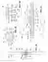 Fig. 20 - Shift fork assembly