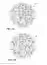 Fig. 11 - System and method for making a structured magnetic material with integrated particle insulation