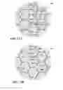 Fig. 23 - System and method for making a structured magnetic material with integrated particle insulation