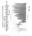 Fig. 05 - Musical measurement stimuli