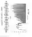 Fig. 07 - Musical measurement stimuli