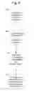 Fig. 05 - Arrangement and control of precompression rolls in balers