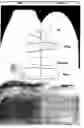 Fig. 01 - Paint comprising hydrophobized minerals and related methods