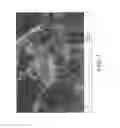 Fig. 04 - Internally curing cement based materials