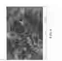 Fig. 07 - Internally curing cement based materials