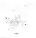 Fig. 02 - Stabilisation of objects
