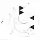 Fig. 02 - Desmodronic shaft and yoke assembly for translating linear to rotary motion