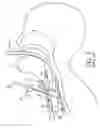 Fig. 03 - TRACHEAL STOMA DILATION APPARATUS AND METHOD OF MANUFACTURE