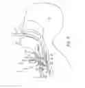 Fig. 04 - TRACHEAL STOMA DILATION APPARATUS AND METHOD OF MANUFACTURE