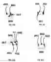 Fig. 14 - TOOTHBRUSH/TOOTHPASTE FLUORIDE DOSING TOOTHBRUSH, SYSTEM AND METHOD