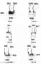 Fig. 15 - TOOTHBRUSH/TOOTHPASTE FLUORIDE DOSING TOOTHBRUSH, SYSTEM AND METHOD