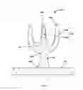 Fig. 09 - Body cleansing apparatus